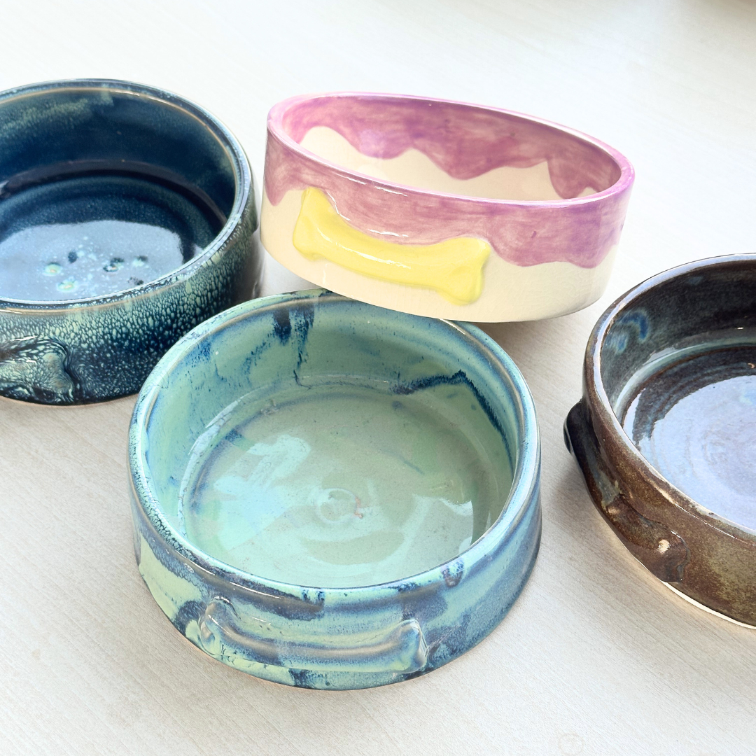 Pet Bowl